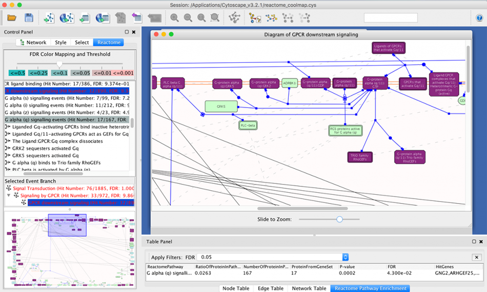 CoolMap can be used to exchange data with Cytoscape. In this example, pathway exploration in Cytoscape ueses the gene list from a CoolMap view